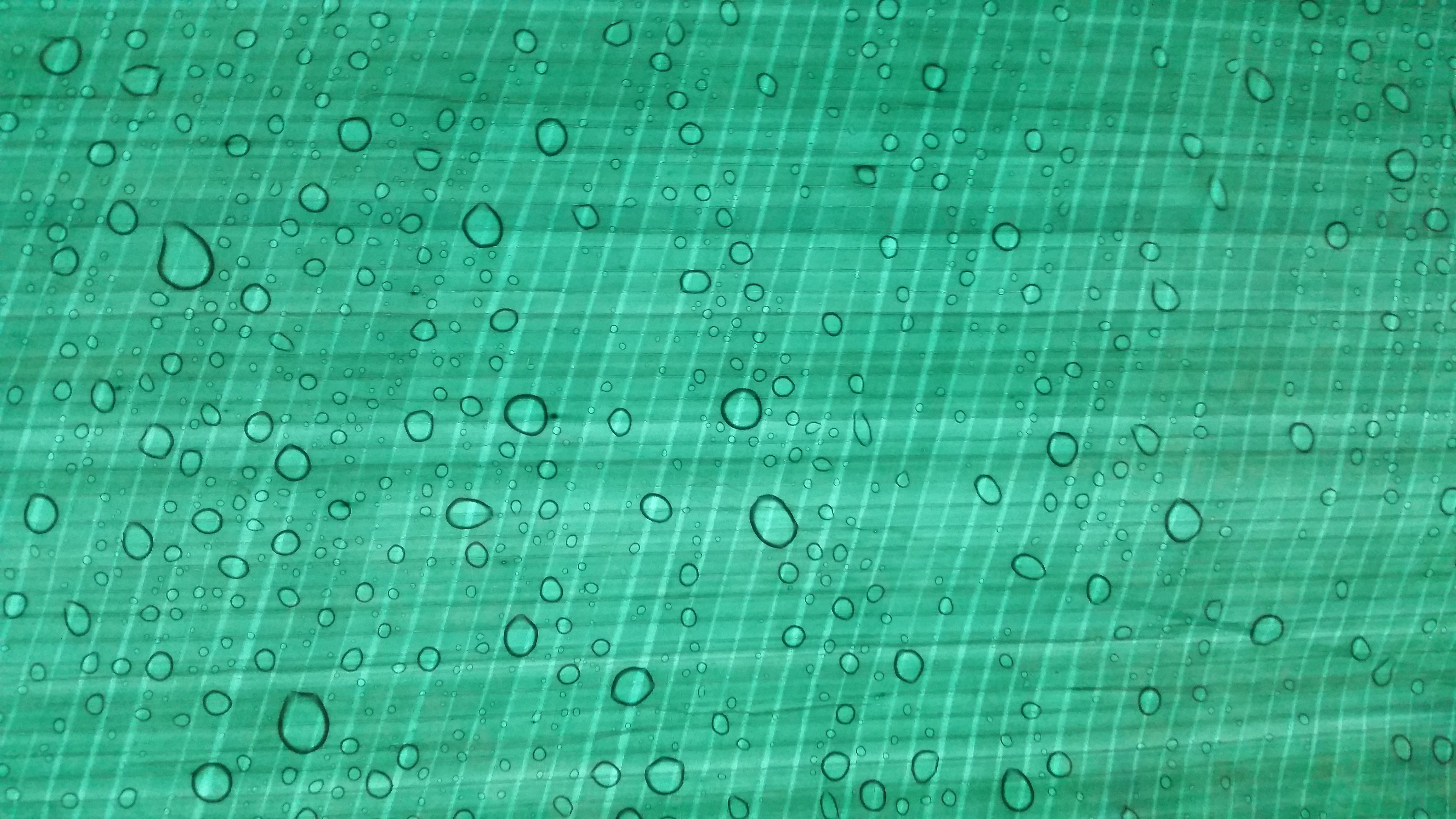 water drops, Green Wallpaper