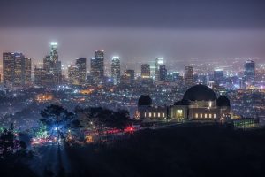 night, Trees, Cityscape, City, Los Angeles, California, USA, Skyscraper, Lights, Hill