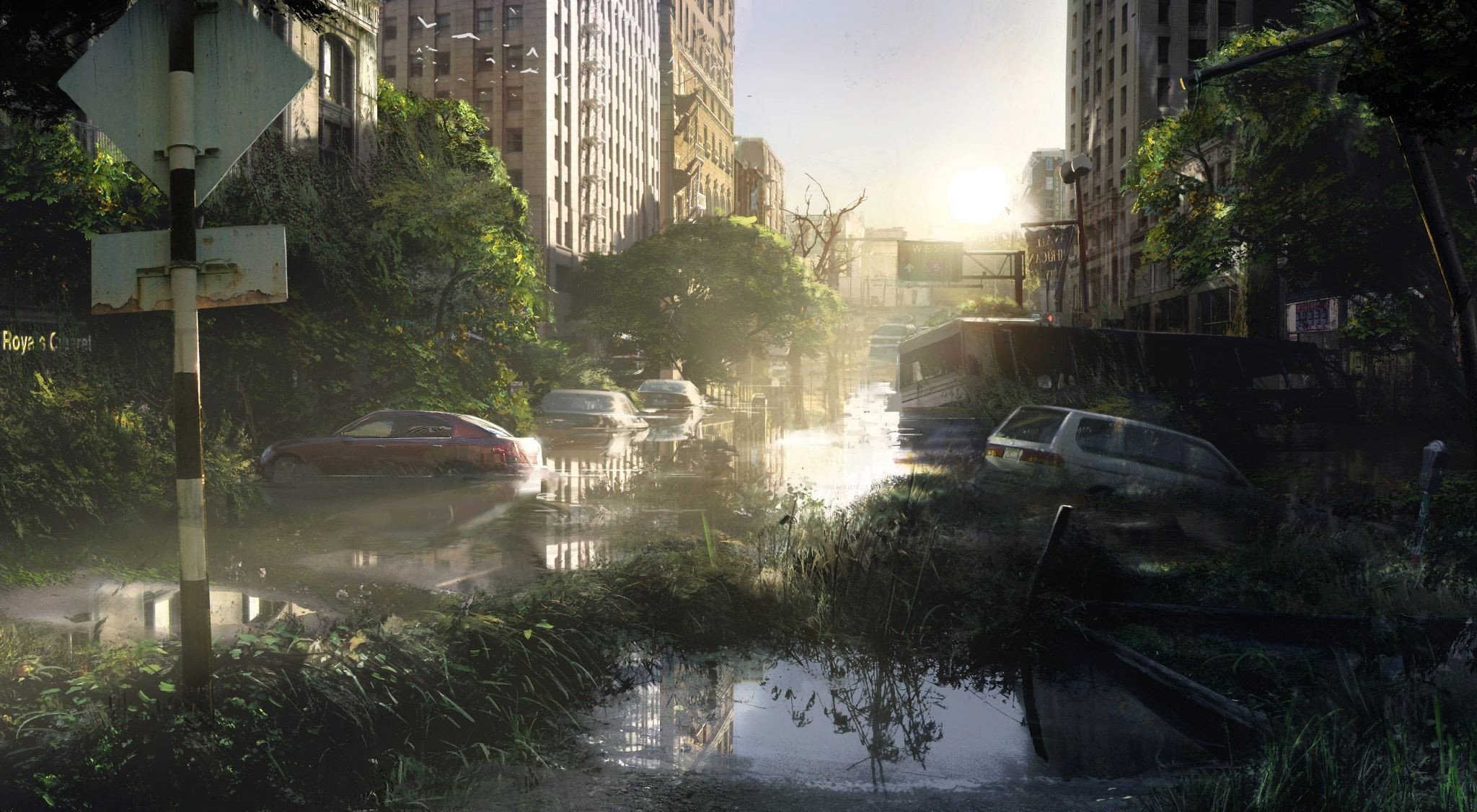 The Last of Us Wallpaper