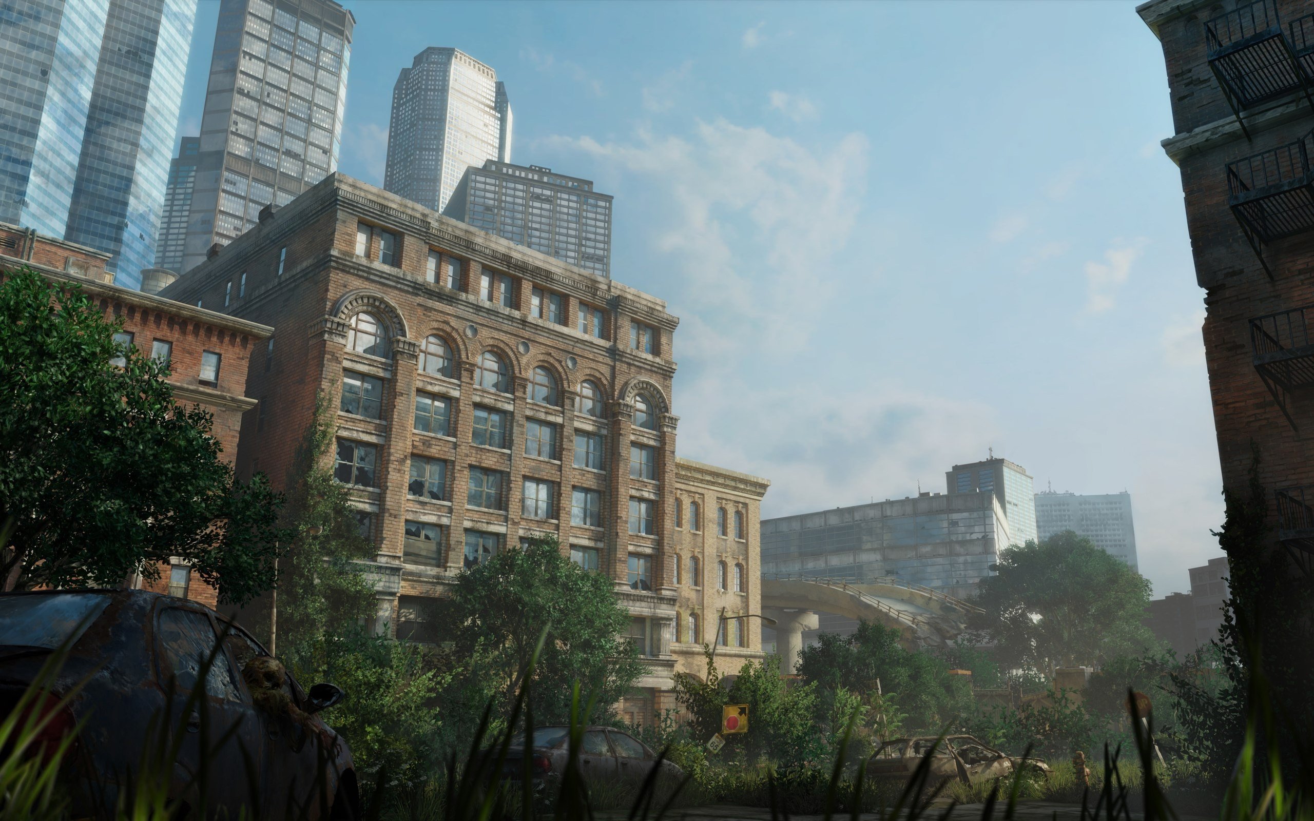 The Last of Us Wallpaper