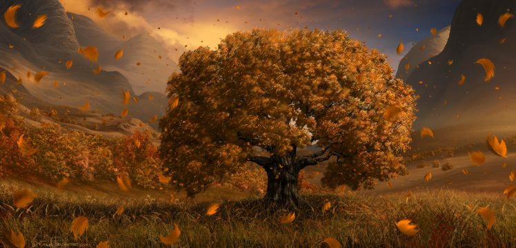 trees, Leaves HD Wallpaper Desktop Background