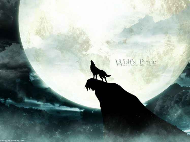 wolf, Moon HD Wallpaper Desktop Background