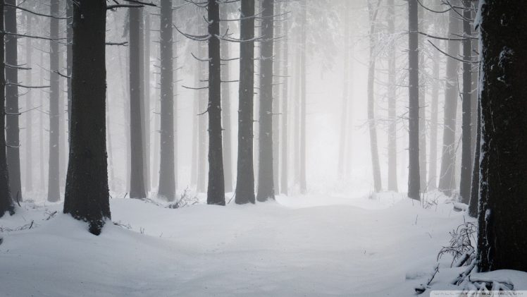 snow, Wood, Minimalism HD Wallpaper Desktop Background