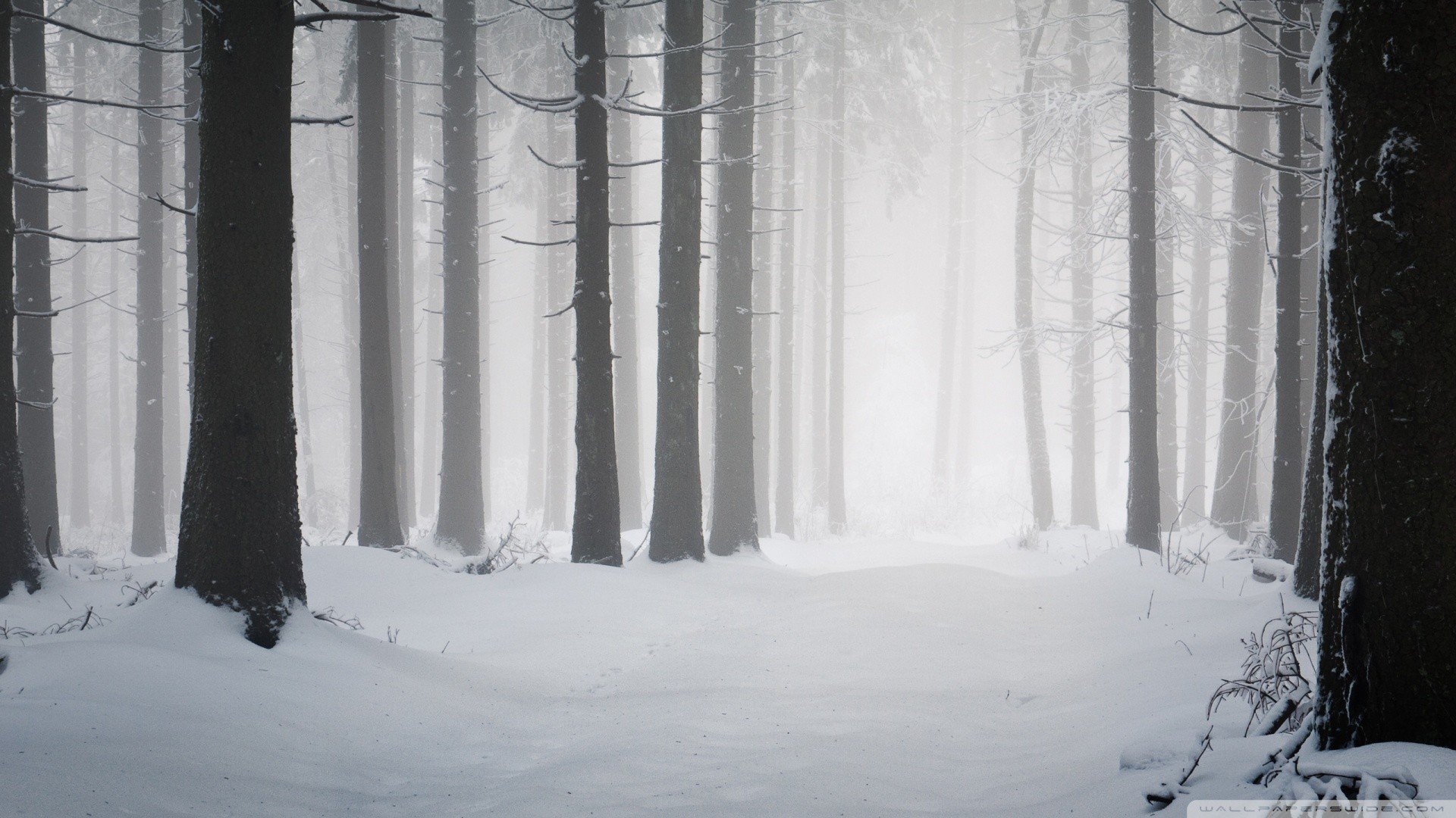 snow, Wood, Minimalism Wallpaper