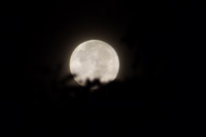 moon, Night