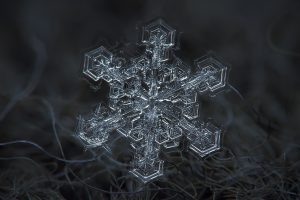 snowflakes, Photography