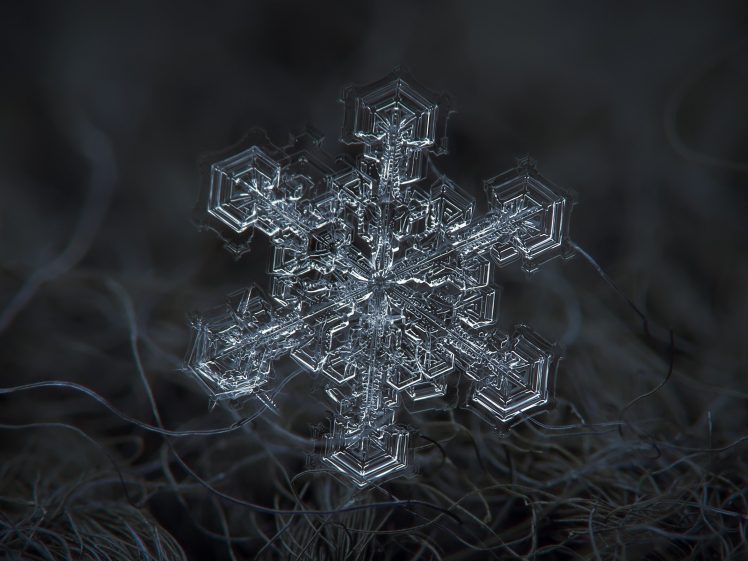 snowflakes, Photography HD Wallpaper Desktop Background