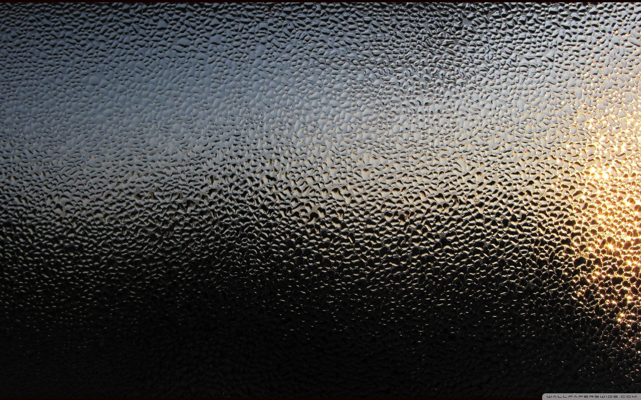 macro, Minimalism, Water on glass Wallpaper