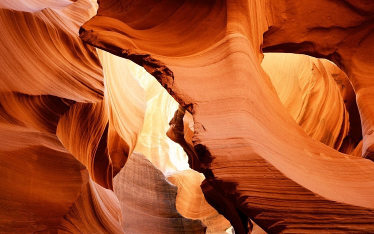 canyon, Desert, Rock formation, Sunlight, Grand Canyon, Arizona HD Wallpaper Desktop Background