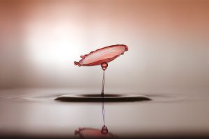 macro, Pink, Water drops, Photography, Blurred, Depth of field