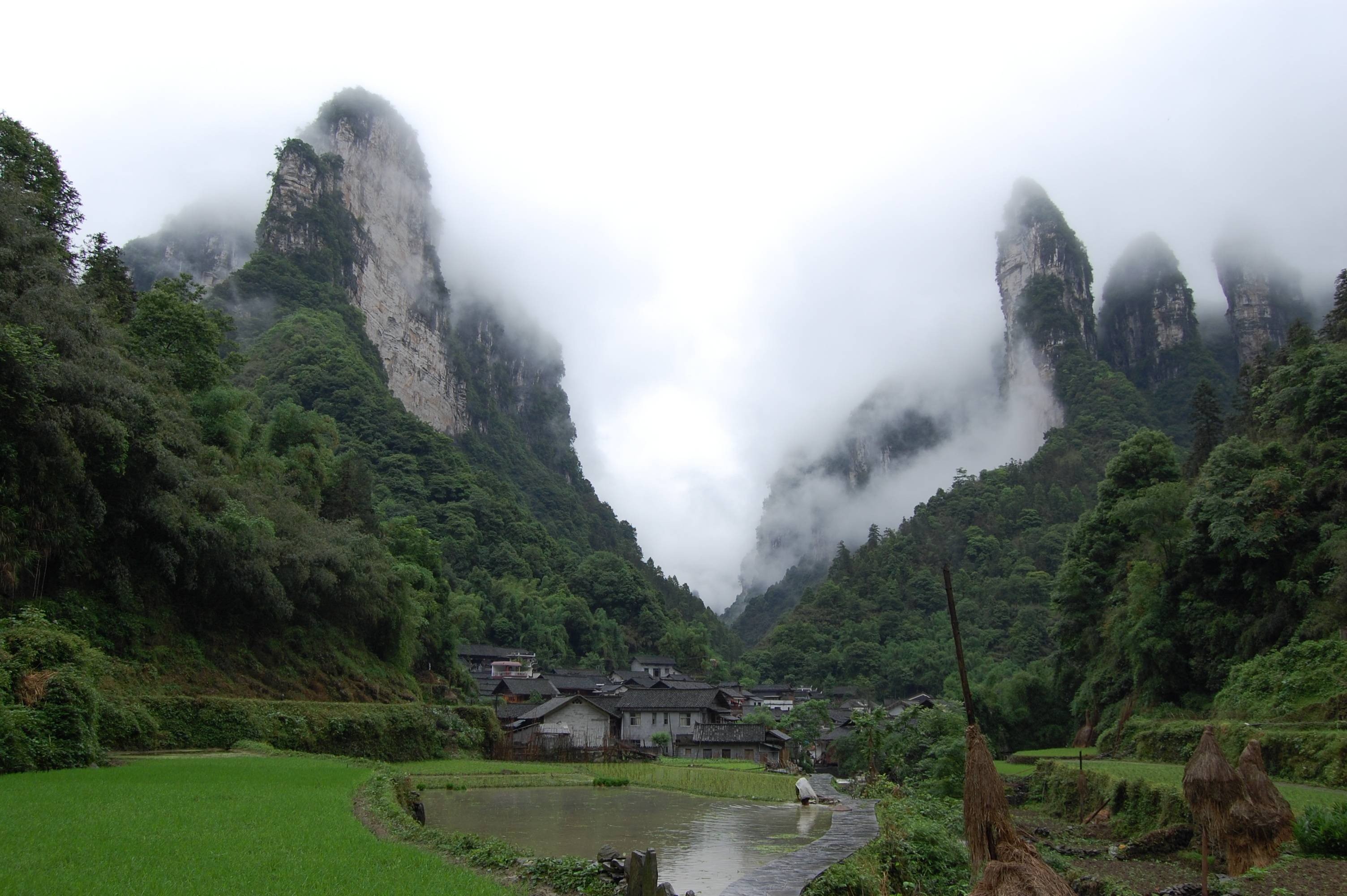 trees, Mountain Wallpaper