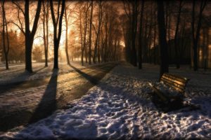 snow, Bench, Trees, Sunlight