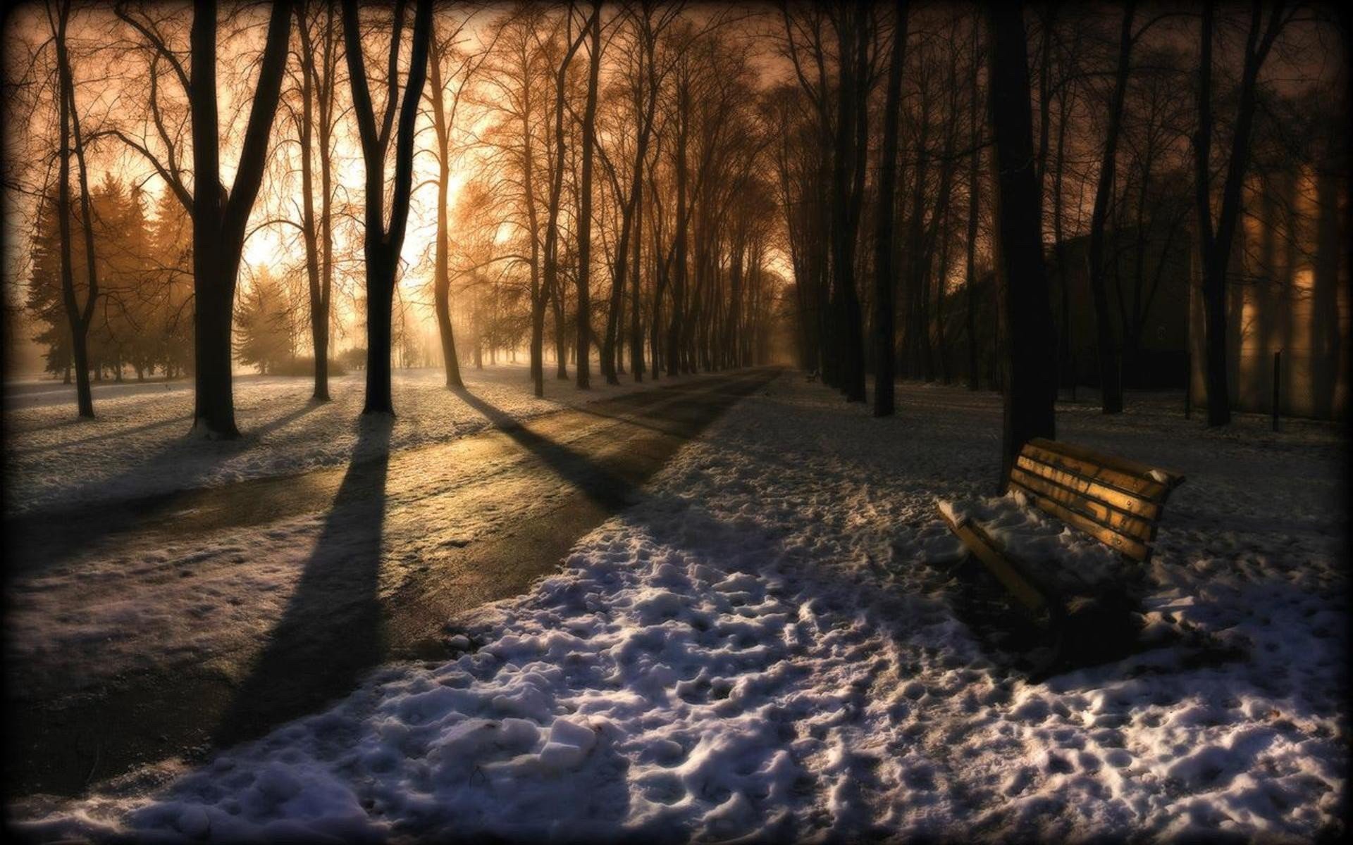 snow, Bench, Trees, Sunlight Wallpaper