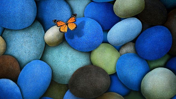 butterfly, Stones HD Wallpaper Desktop Background