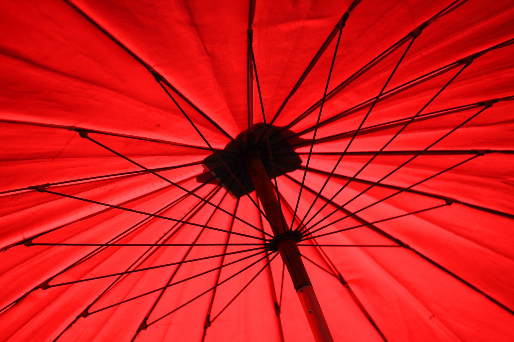 umbrella, Colorful, Photography, Red Wallpaper