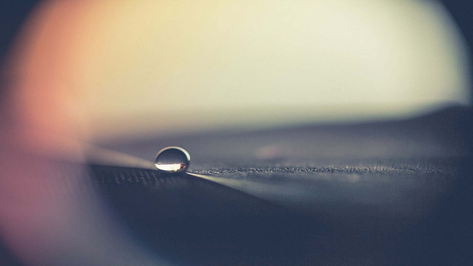 macro Wallpaper