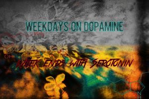 drugs, Work, Anatomy, LSD, Ecstasy, Euphoria