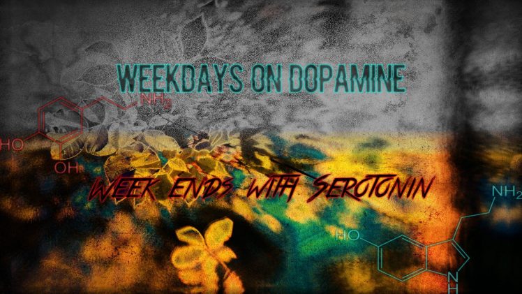 drugs, Work, Anatomy, LSD, Ecstasy, Euphoria HD Wallpaper Desktop Background