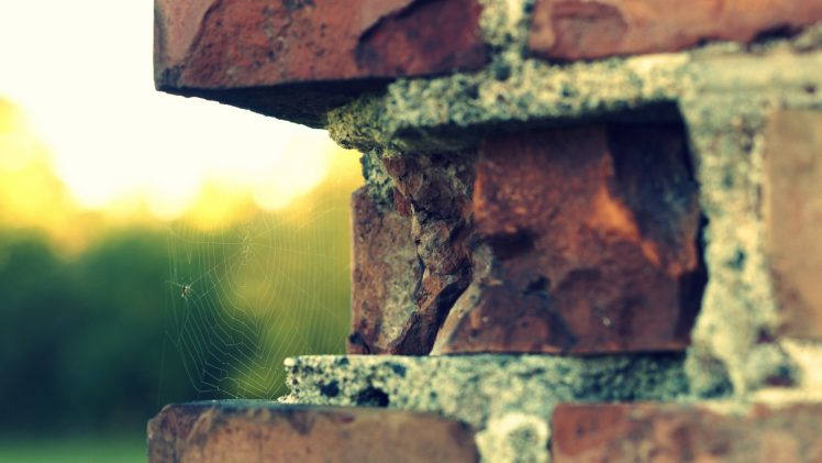 bricks, Spiderwebs, Depth of field HD Wallpaper Desktop Background