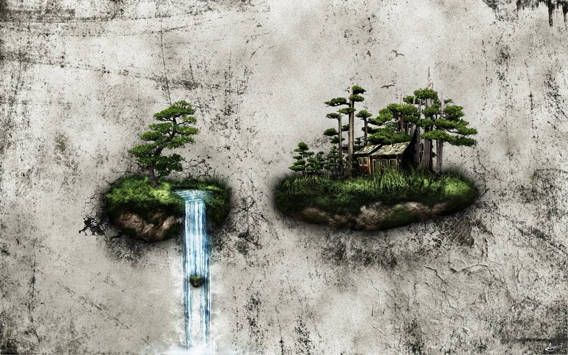 bonsai Wallpaper