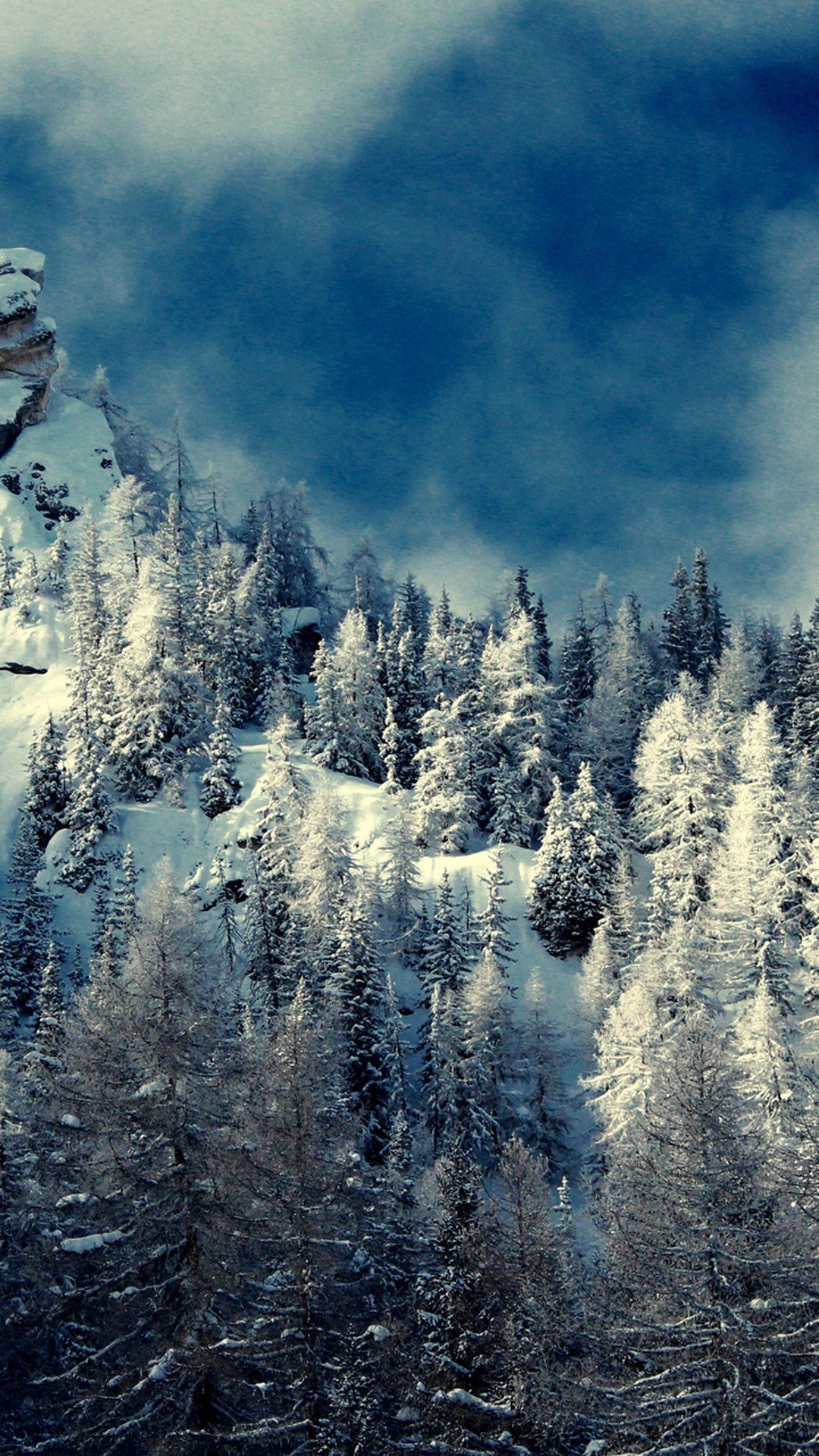 snow, Trees Wallpaper