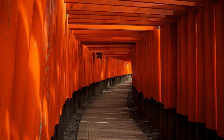 path, Wood, Orange (fruit), Japan, Temple, Torii, Kyoto HD Wallpaper Desktop Background