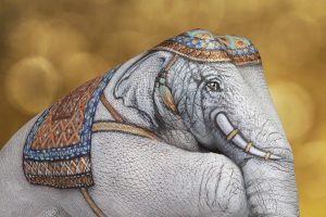 hand, Elephants, Drawing
