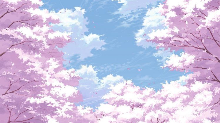 cherry blossom HD Wallpaper Desktop Background