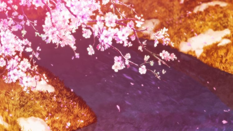 cherry blossom HD Wallpaper Desktop Background