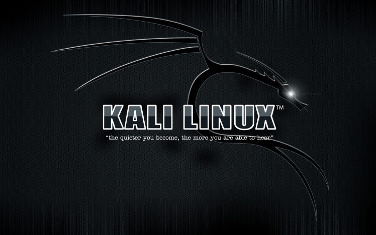 Kali Linux HD Wallpaper Desktop Background