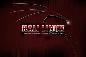 Kali Linux, Linux