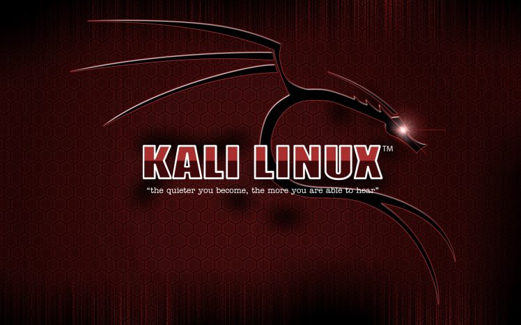 Kali Linux, Linux HD Wallpaper Desktop Background