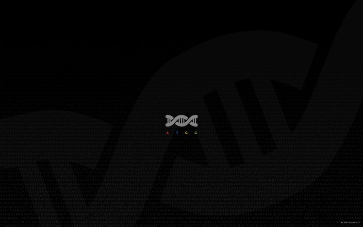 minimalism, DNA HD Wallpaper Desktop Background
