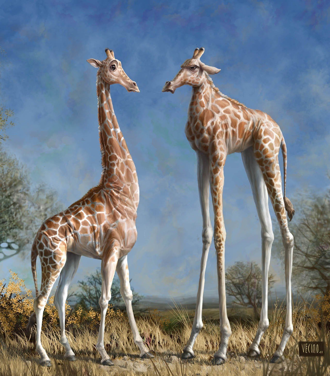giraffes Wallpaper
