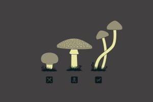 mushroom, Minimalism
