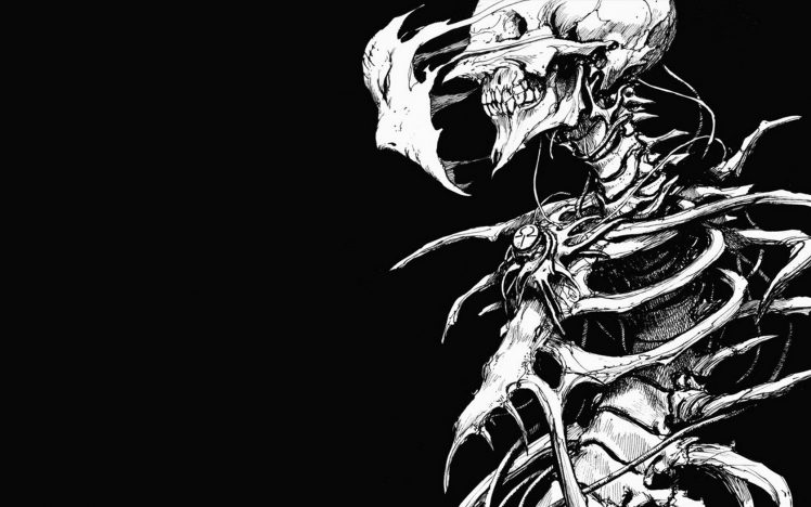 skull, Face, Bones, Drawing, Biomega HD Wallpaper Desktop Background