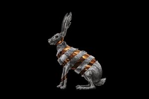 rabbits, Album covers