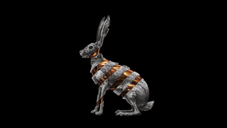 rabbits, Album covers HD Wallpaper Desktop Background