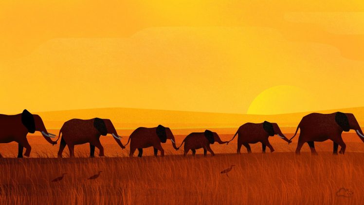 digitalocean, Elephants HD Wallpaper Desktop Background