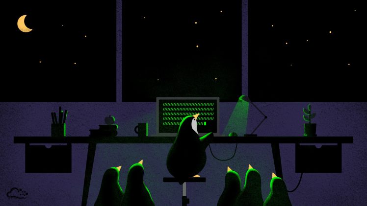 digitalocean, Penguins, Night, Computer HD Wallpaper Desktop Background