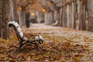 fall, Park, Bench, Leaves