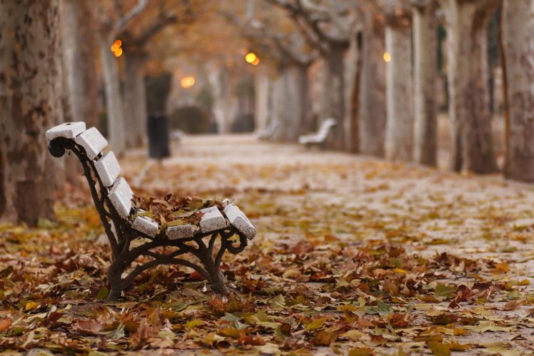 fall, Park, Bench, Leaves HD Wallpaper Desktop Background