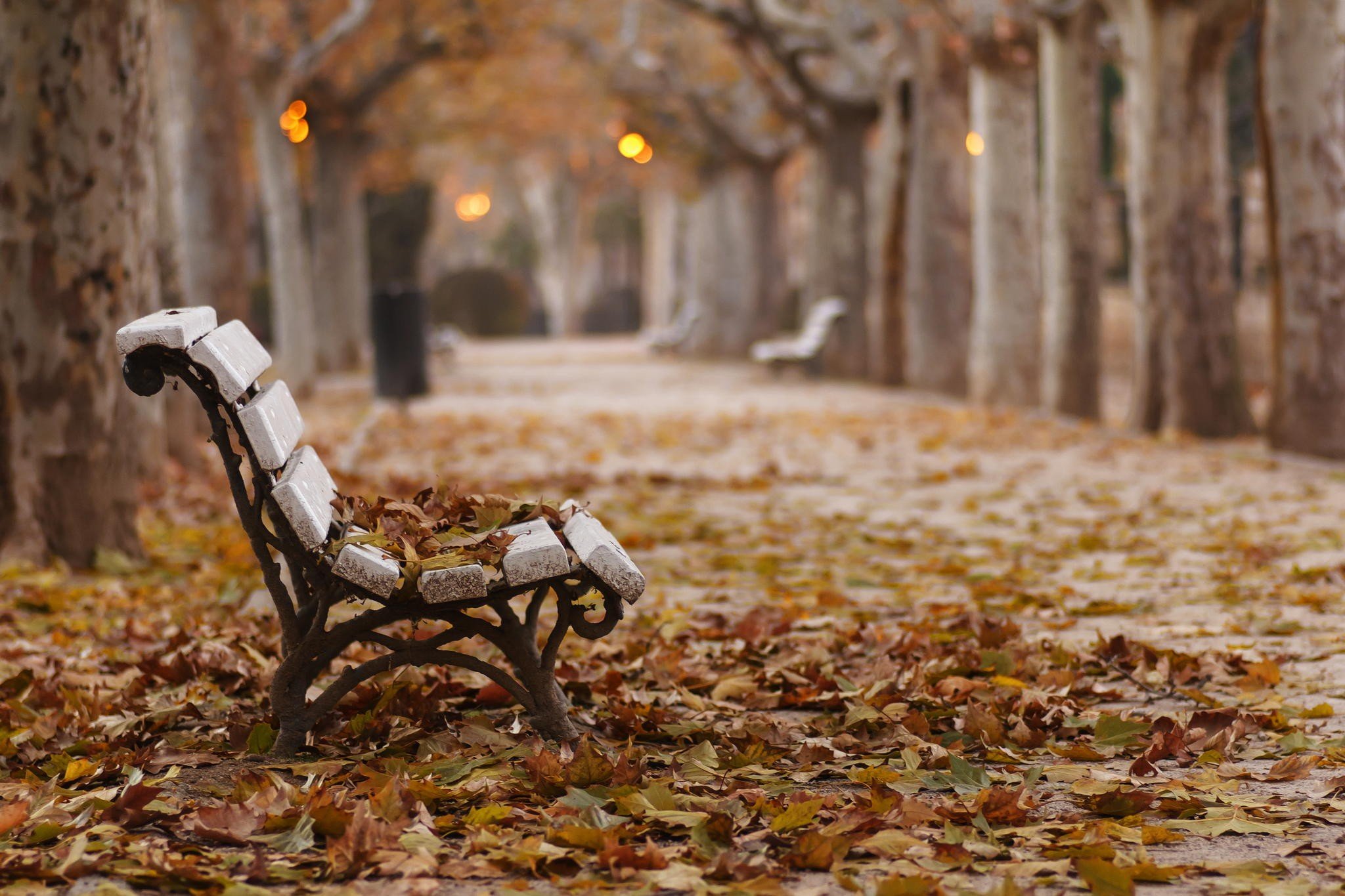 fall, Park, Bench, Leaves Wallpaper