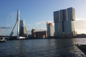 city, Rotterdam, Bridge, Building, De Rotterdam, Erasmusbrug, Netherlands