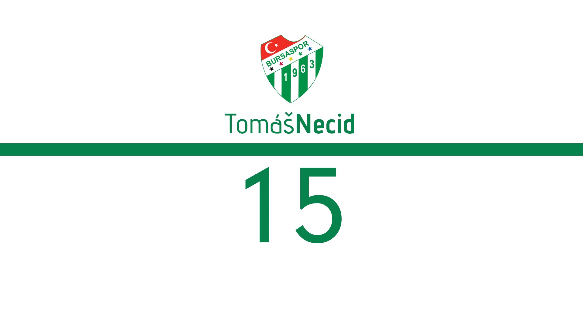 Bursaspor Wallpaper