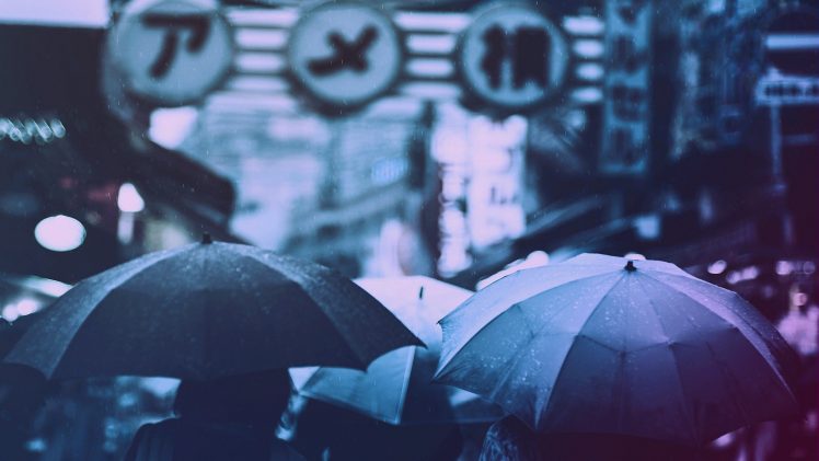 photography, Filter, Rain, Japanese umbrella, Umbrella HD Wallpaper Desktop Background
