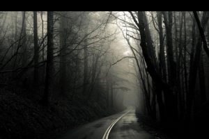 nowhere, Dark, Eerie, Trees, Road, Nightmare