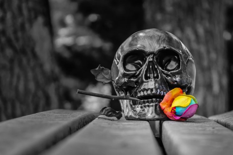 skull, Selective coloring, Death, Spooky, Gothic HD Wallpaper Desktop Background