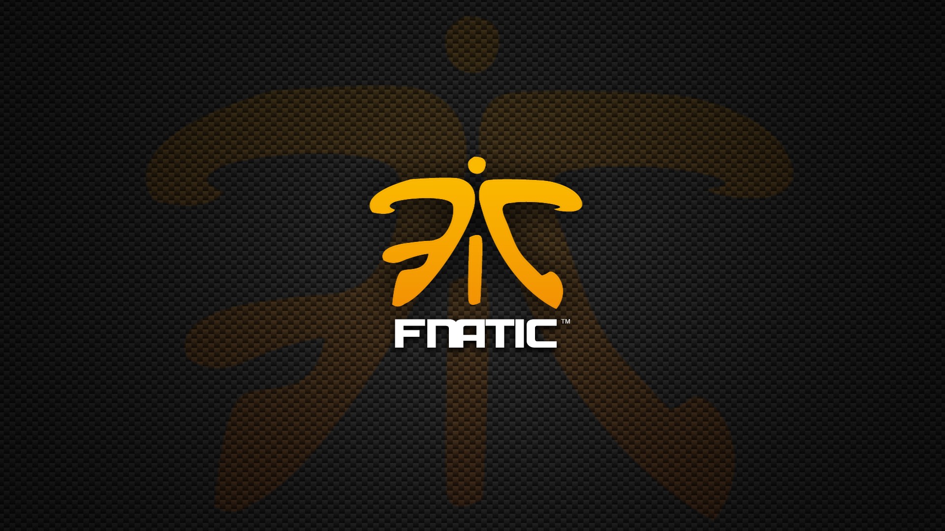 Fnatic steam profile фото 89