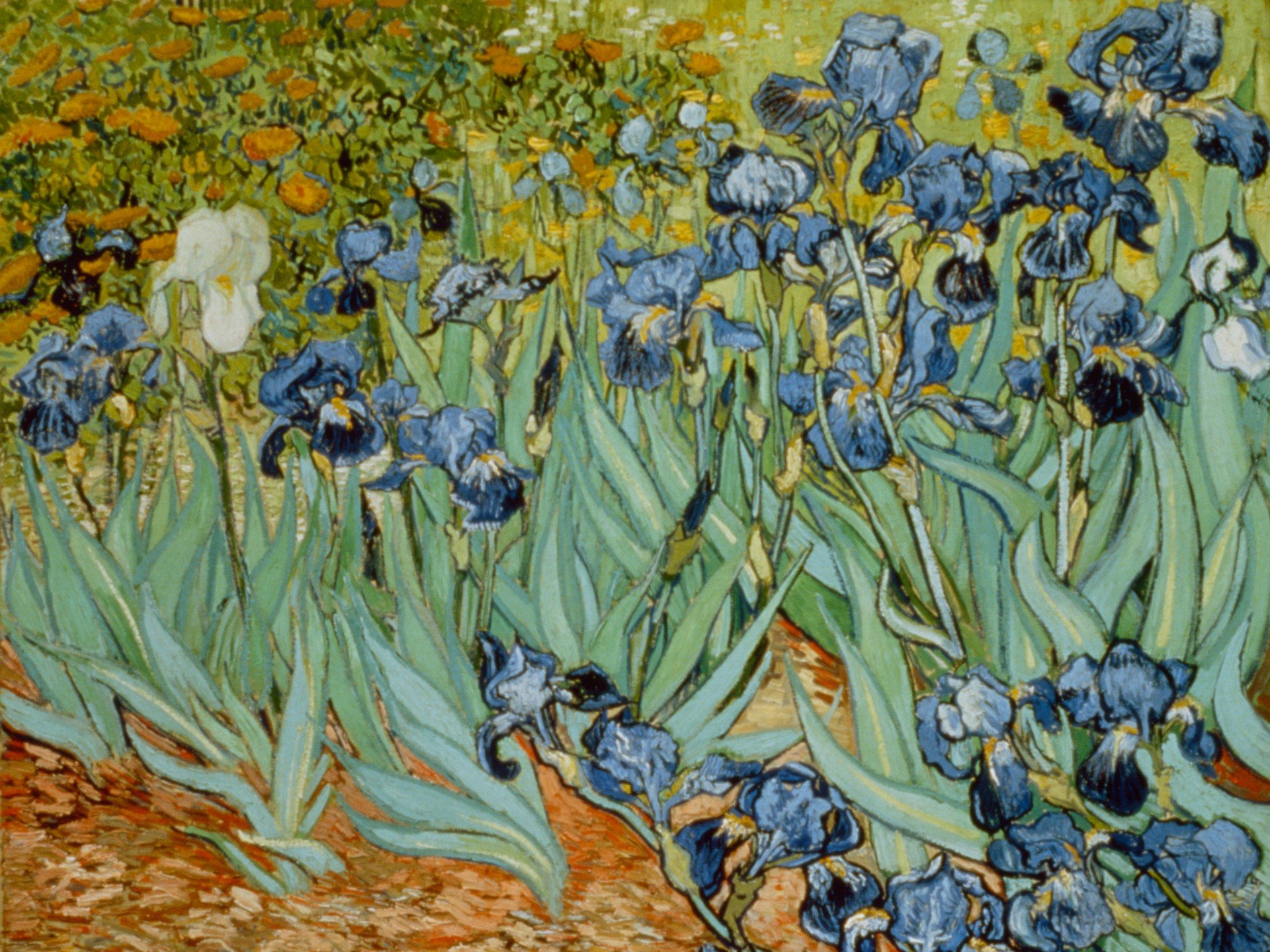 Vincent van Gogh, Classic art, Painting Wallpaper